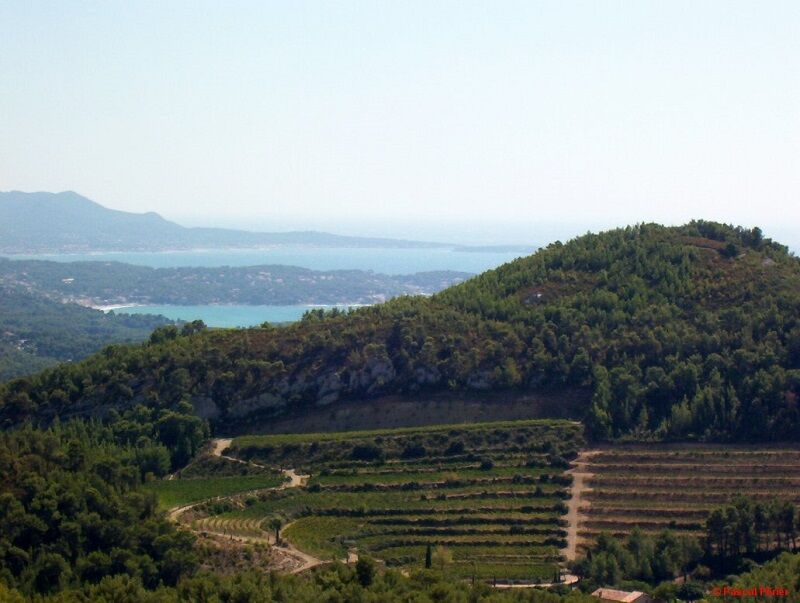 Bandol Provence Wine Tour 7