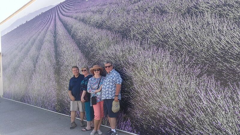 Lavender Provence group 4