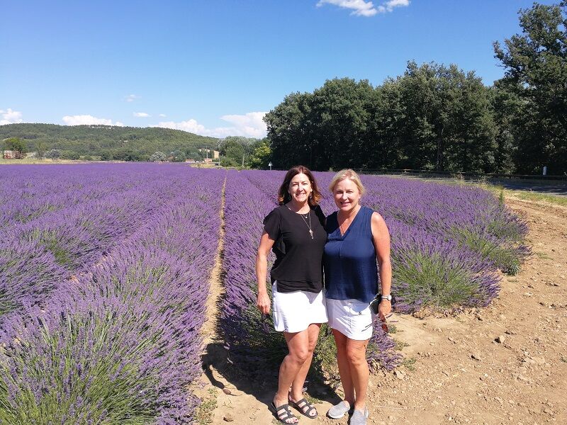 Lavender Provence field 2 friends