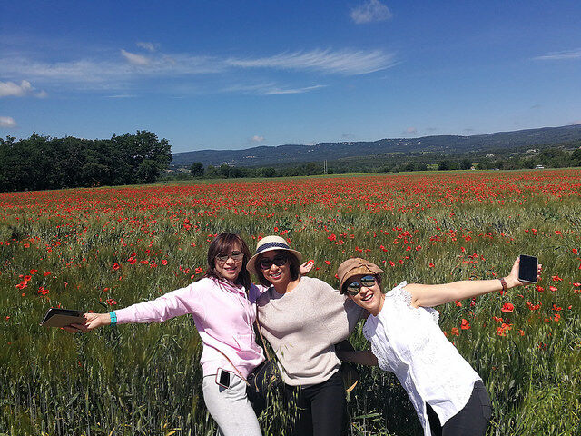 Luberon Provence poppy field